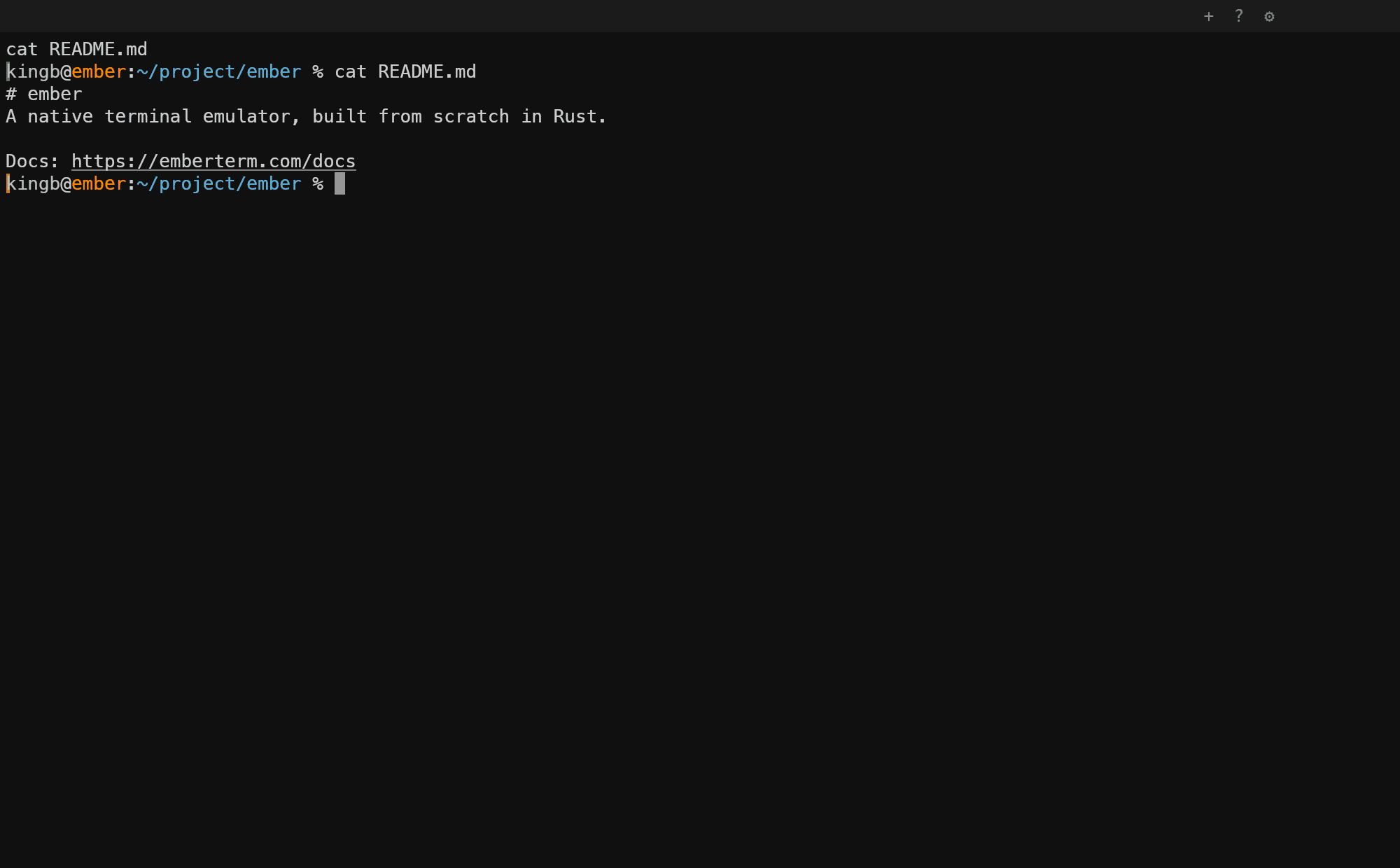 A URL in terminal output rendered with a subtle underline